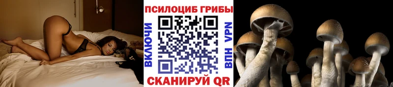 как найти   Ангарск  Псилоцибиновые грибы Psilocybine cubensis 